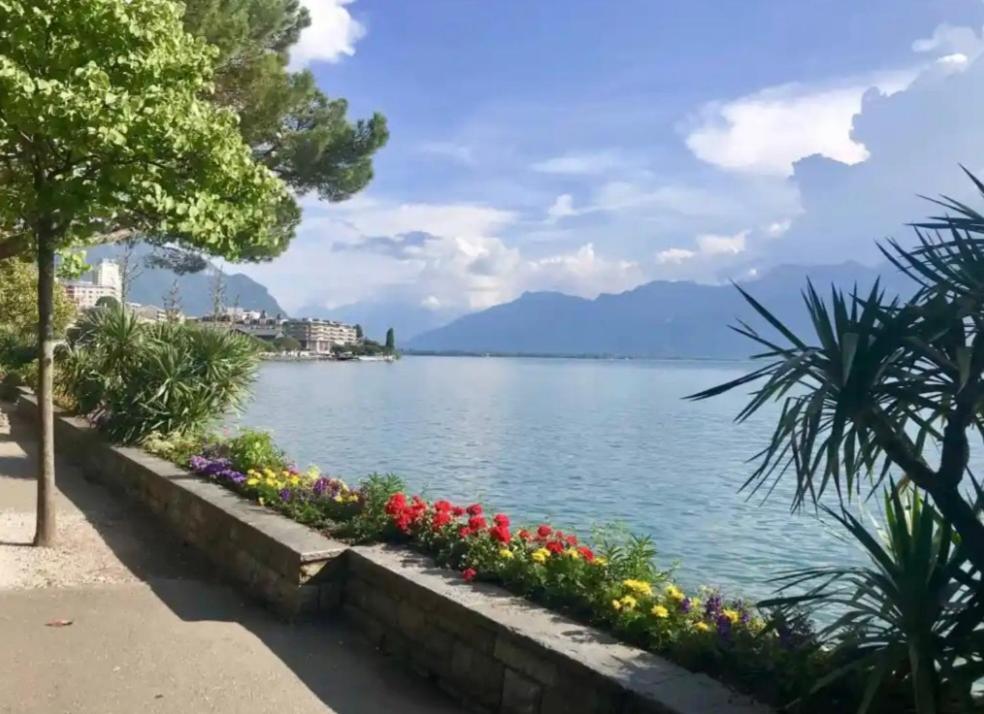 Nid Douillet A Deux Pas Du Lac Clarens Exterior foto